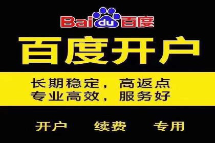 专业百度竞价托管外包成功案例分享